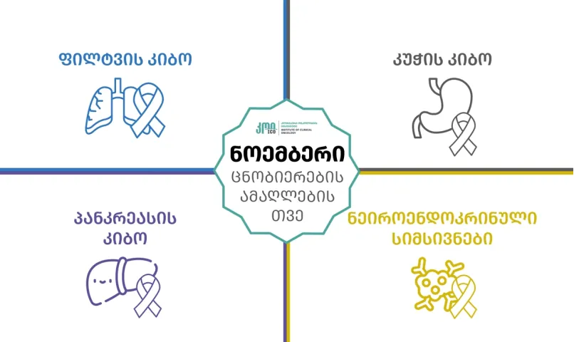 ნოემბერი - თვე, რომელიც გვახსენებს: ცოდნა და ყურადღება ნიშნავს სიცოცხლეს