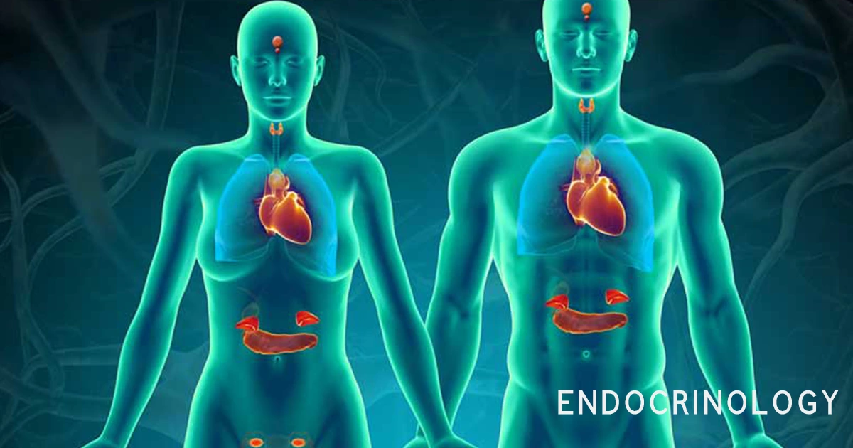 Endocrinology